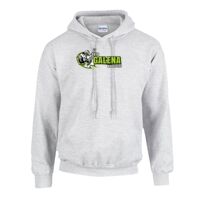 Heavy Blend Hooded Sweatshirt Thumbnail